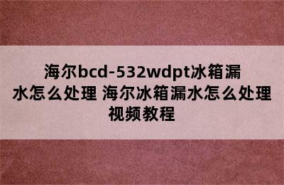 海尔bcd-532wdpt冰箱漏水怎么处理 海尔冰箱漏水怎么处理视频教程